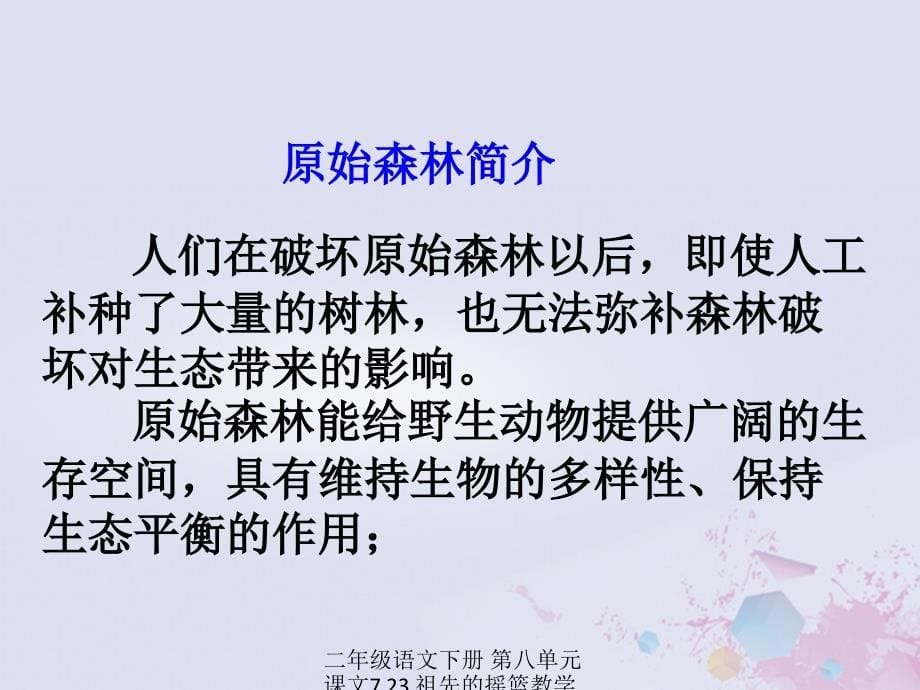 【最新】二年级语文下册 第八单元 课文7 23 祖先的摇篮教学课件 新人教版-新人教级下册语文课件_第5页