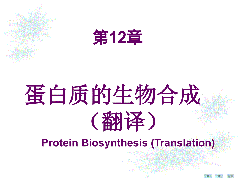 《生物化学》教学课件：12 蛋白质生物合成_第1页