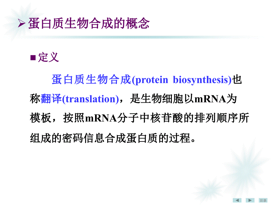 《生物化学》教学课件：12 蛋白质生物合成_第3页