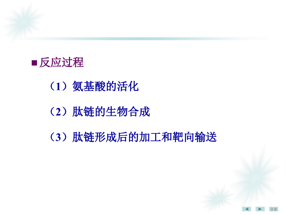 《生物化学》教学课件：12 蛋白质生物合成_第4页