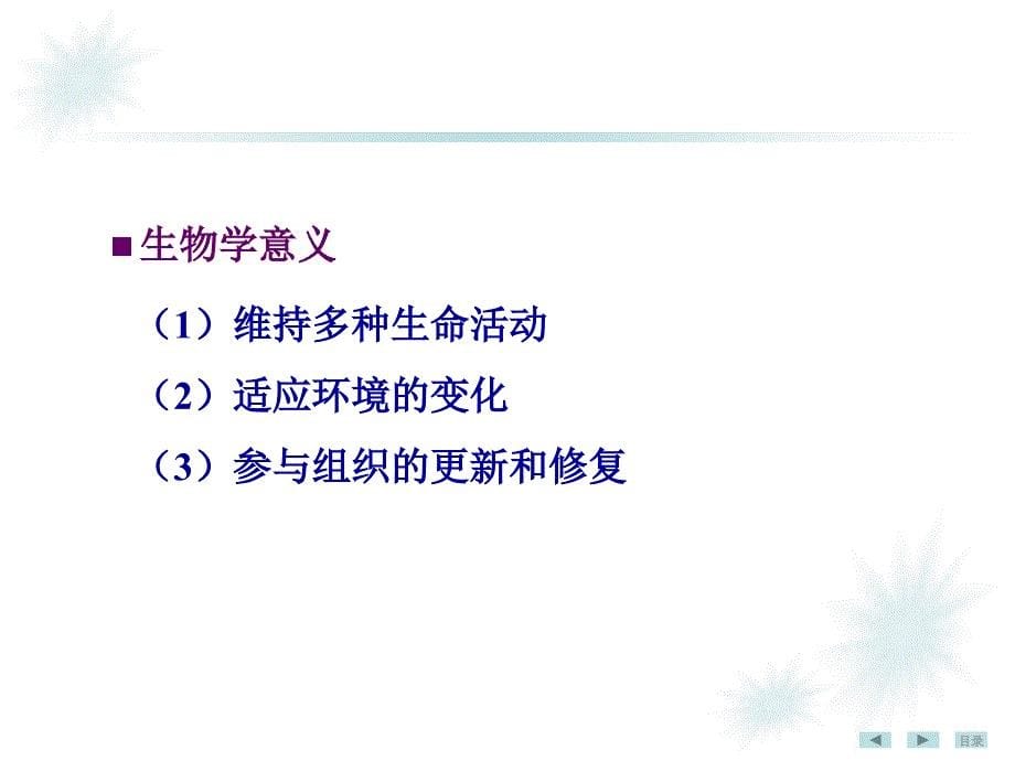 《生物化学》教学课件：12 蛋白质生物合成_第5页