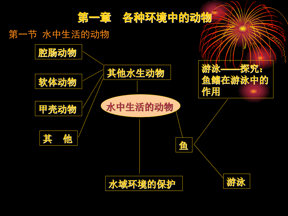 八年级生物上中期复习_第2页