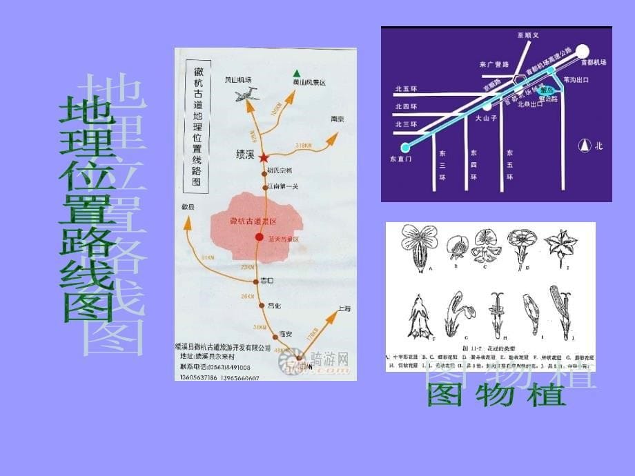 手绘线条—会说话的图画_第5页