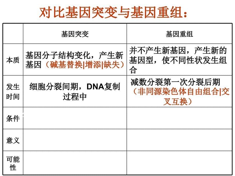 5.2染色体变异课件陈晓娟_第5页