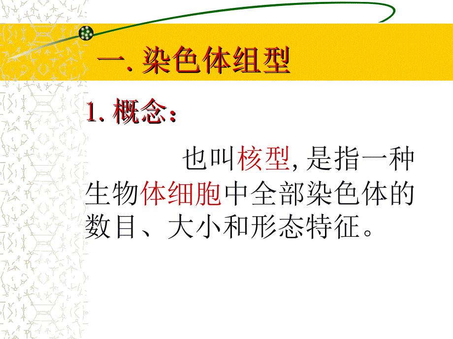 第三节性别决定和伴性遗传_第2页