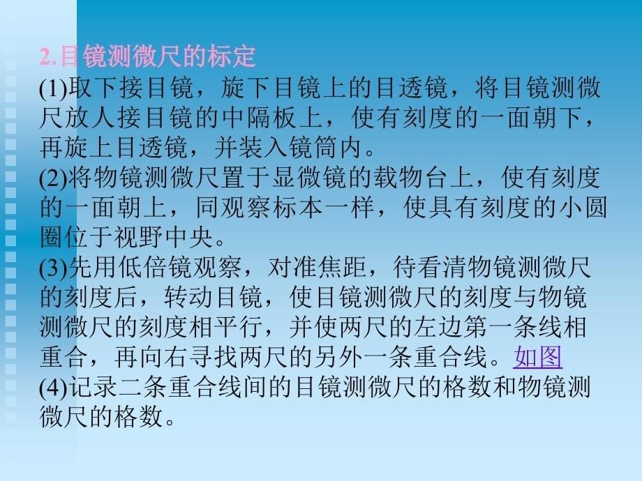 酵母菌大小的测定和细胞计数_第5页