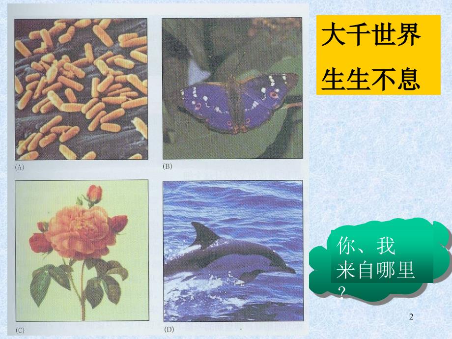 细胞生物学与医学-细胞生物学-课件1-01PPT_第2页