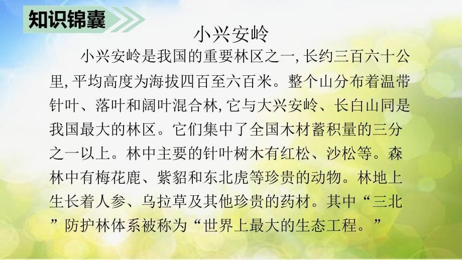 部编语文三年级上册20-(课堂教学课件)美丽的小兴安岭ppt课件_第5页