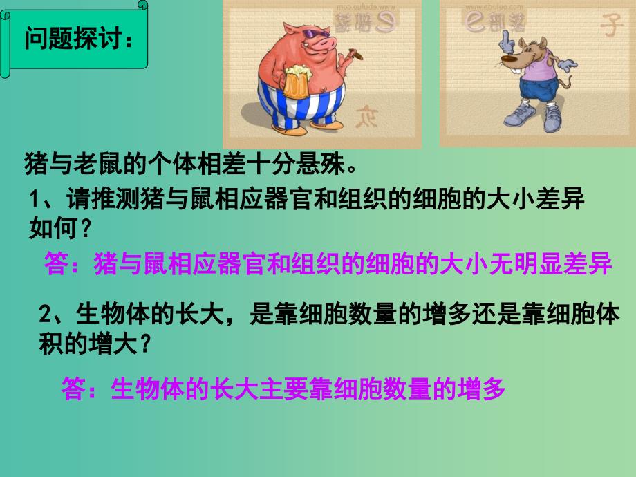 2019高中生物 专题6.1.1 细胞的增殖同步课件 新人教版必修1.ppt_第2页