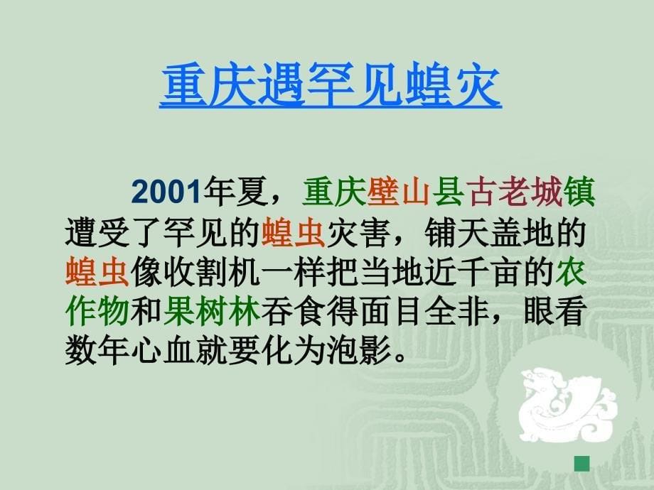 动物在自然界中的作用.ppt_第5页