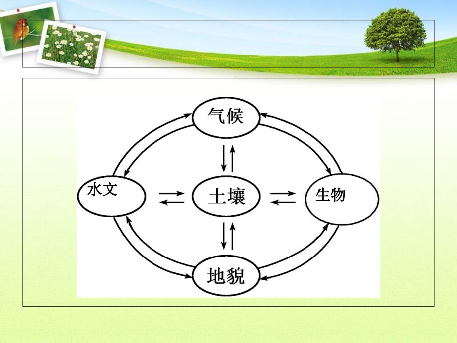 自然地理环境的整体性.ppt_第3页