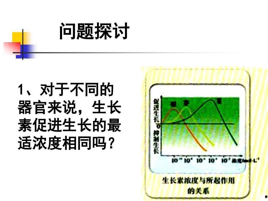 高二生物课件生长素的生理作用新课标_第5页