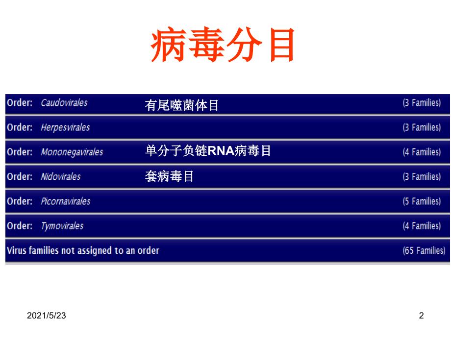 病毒分类科属种详解_第2页