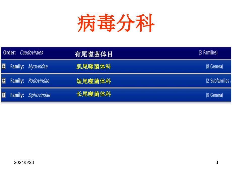 病毒分类科属种详解_第3页