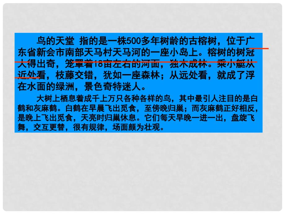 四年级语文上册 鸟的天堂 4课件 人教新课标版_第3页