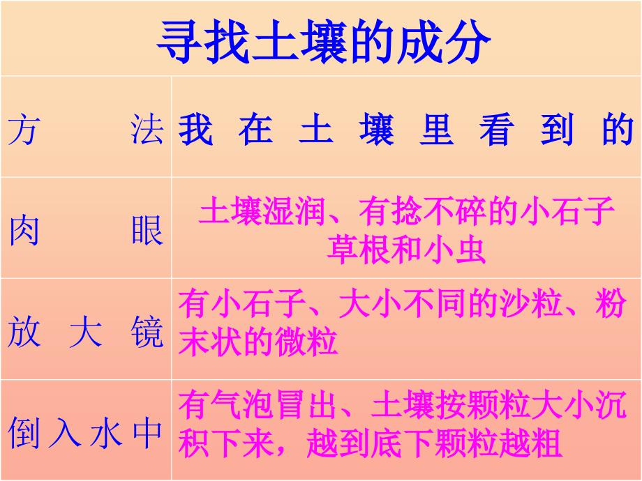 三年级科学下册三植物生活的土地第1课土壤里有什么课件新人教版_第2页