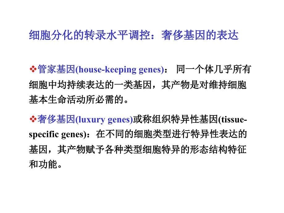 6细胞分化PPT_第5页