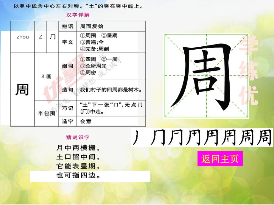 小学语文10-沙滩上的童话ppt课件_第3页