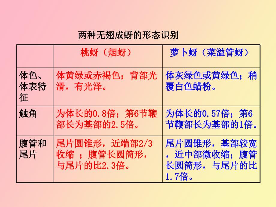 蔬菜实验园艺_第4页