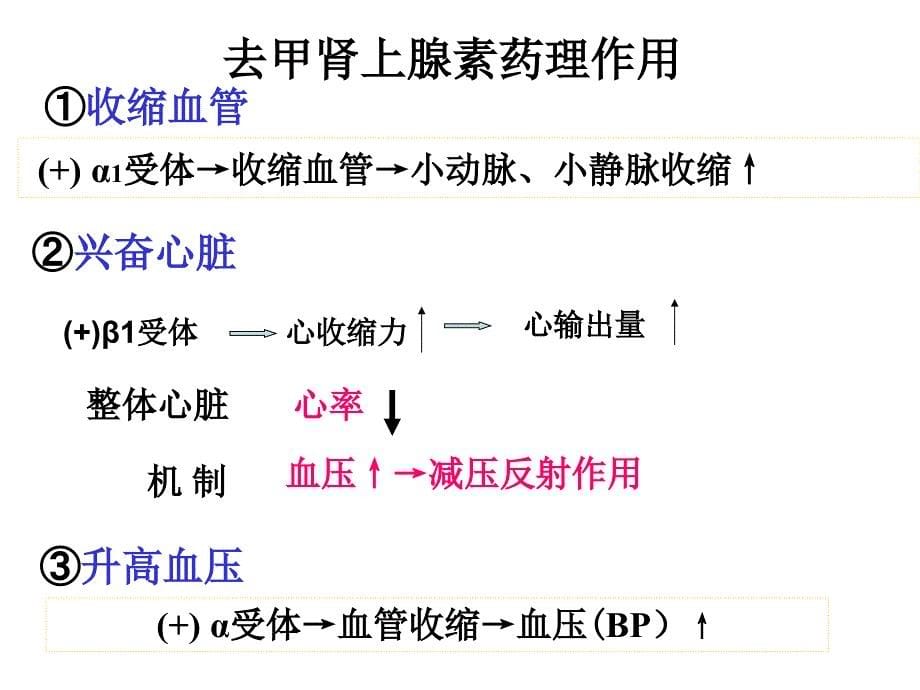 α激动药、β激动药_第5页