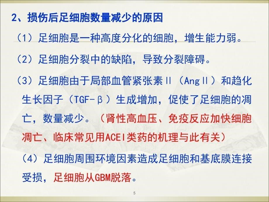 足细胞病发病机制课堂PPT_第5页