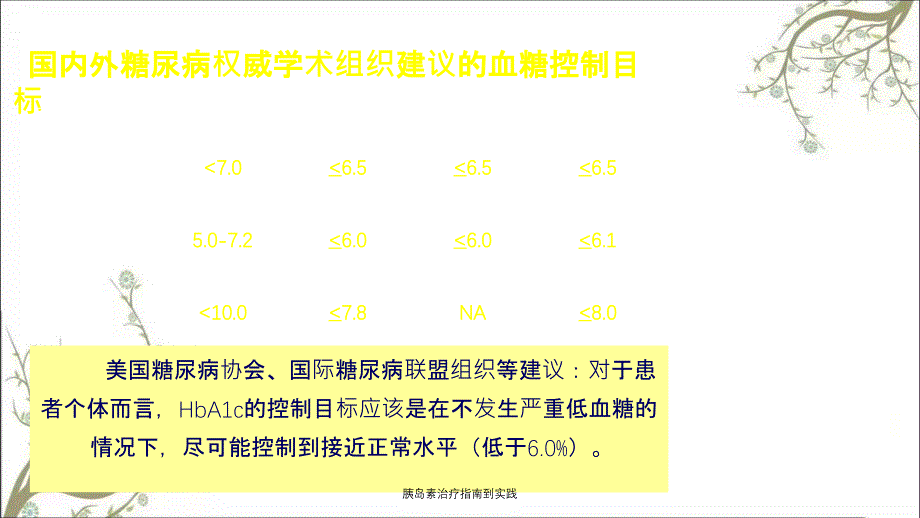 胰岛素治疗指南到实践_第3页