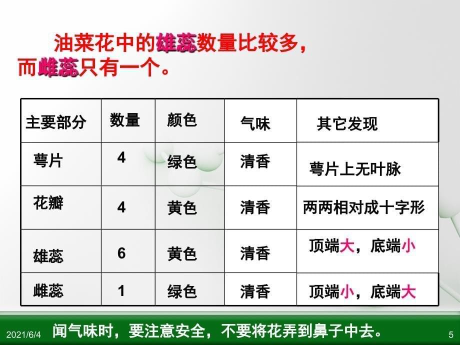 科学四下第二单元新的生命_第5页