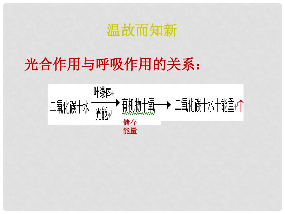 河北省望都县第三中学八年级生物上册 第三章 动物在自然界中的作用课件 新人教版_第1页