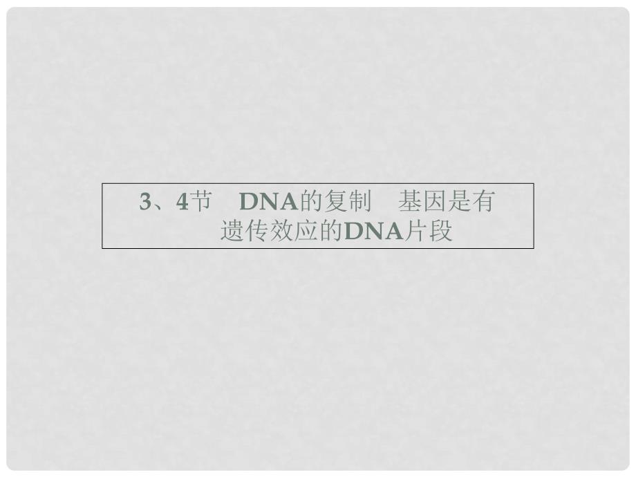 高中生物 3.33.4DNA的复制 基因是有遗传效应的DNA片段课件 新人教版必修2_第2页