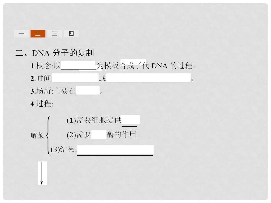 高中生物 3.33.4DNA的复制 基因是有遗传效应的DNA片段课件 新人教版必修2_第5页