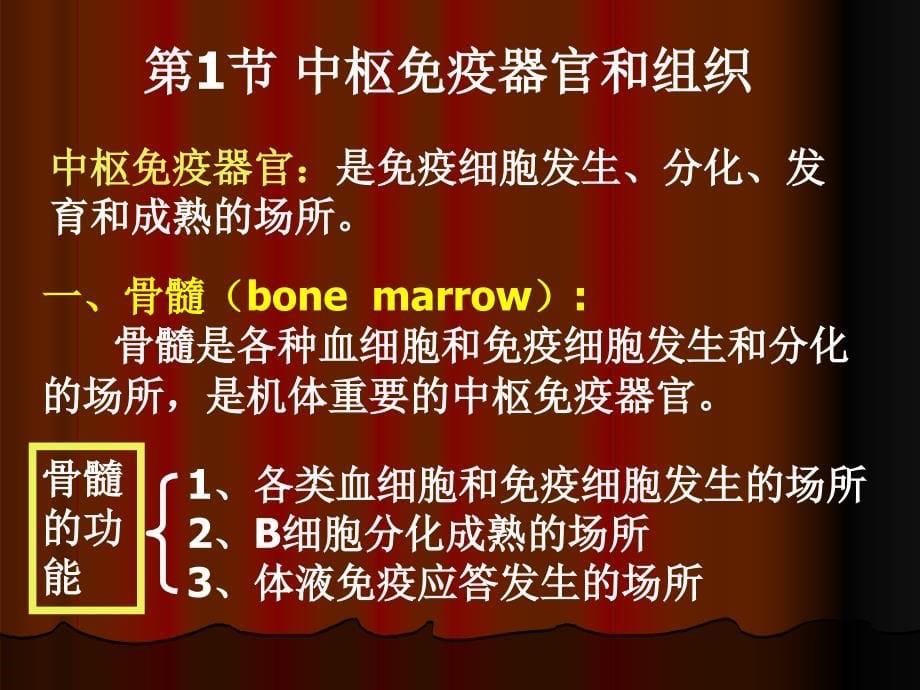 《疫器官和组织》PPT课件.ppt_第5页