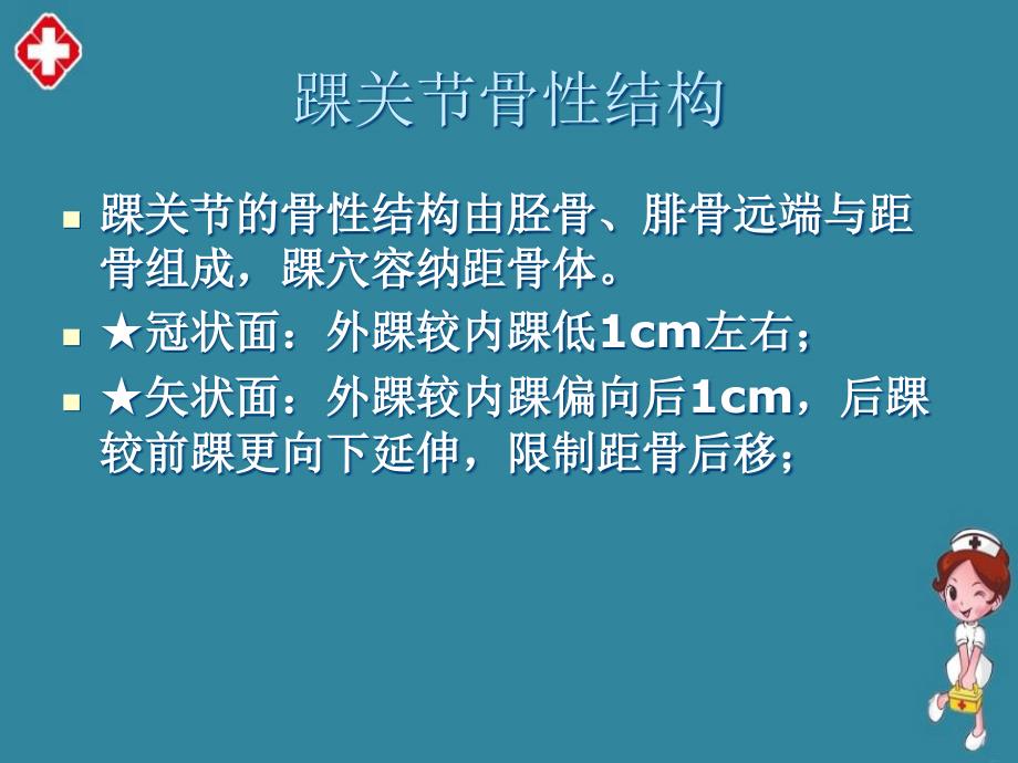 踝关节解剖教学精编ppt_第2页