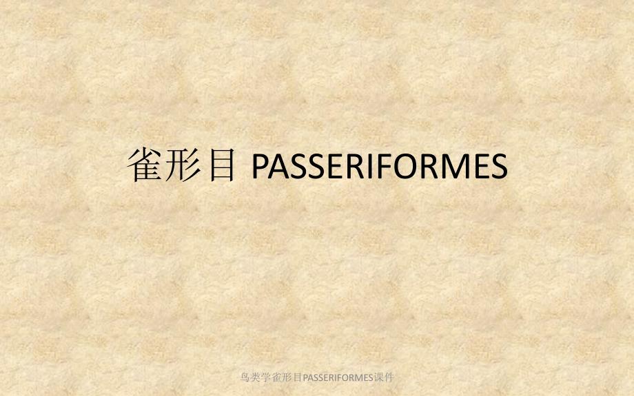 鸟类学雀形目PASSERIFORMES课件_第1页