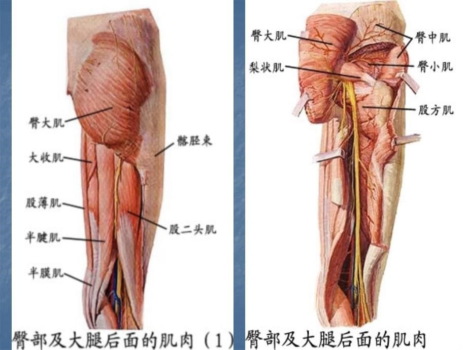 局解实验答辩ppt课件_第5页