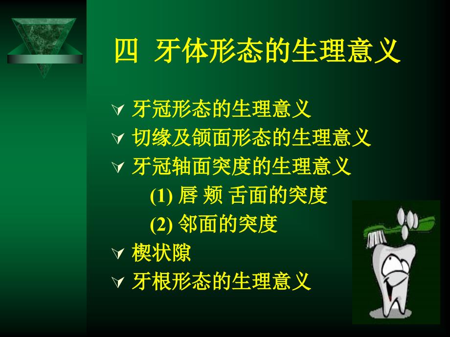 牙体形态的生理意义.ppt_第1页