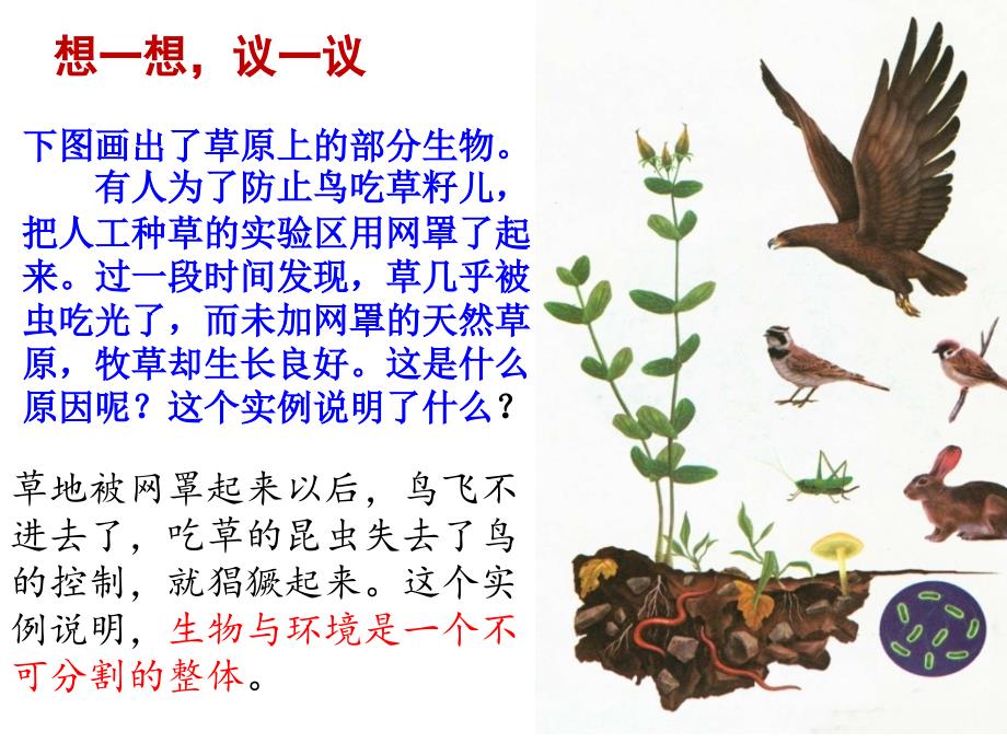 第二节生物与环境组成生态系统_第3页