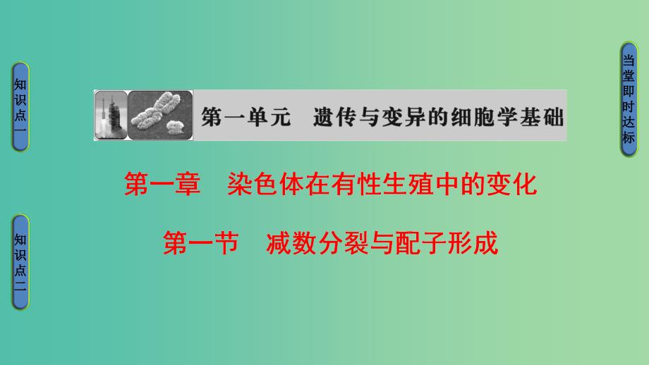 高中生物第1单元遗传与变异的细胞学基础第1章染色体在有性生殖中的变化第1节减数分裂与配子形成课件中图版.ppt_第1页