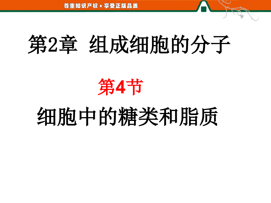 24细胞中的糖类和脂质_第1页