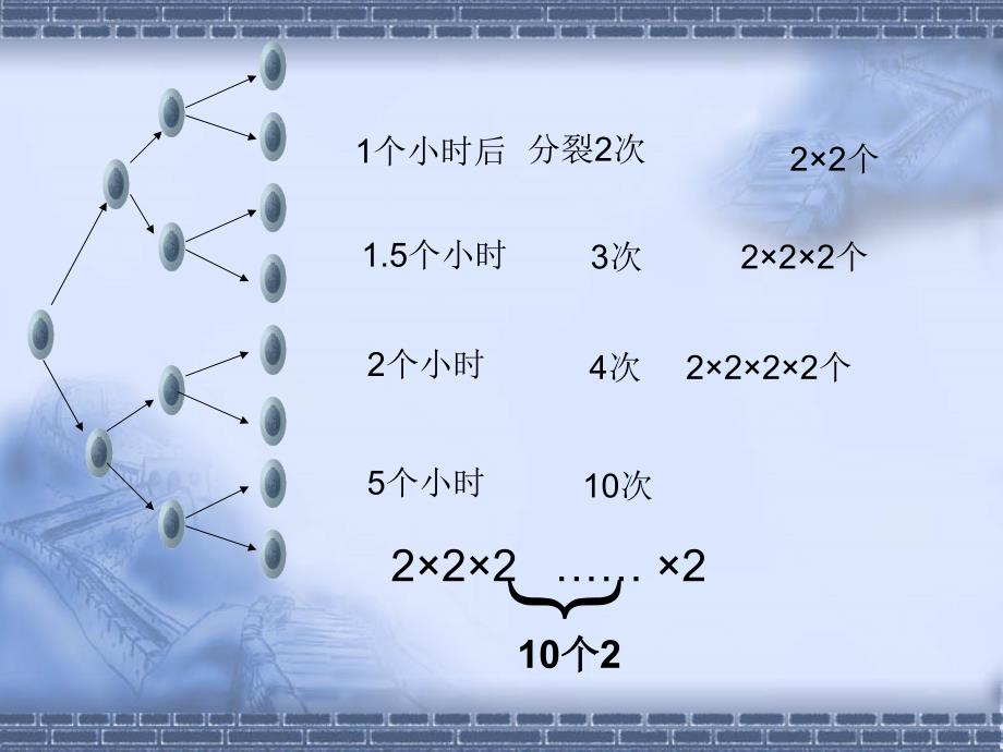 1．5有理数的乘方4_第4页