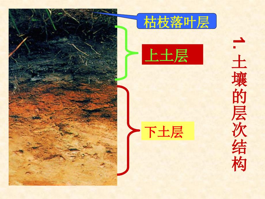 土壤中有什么_第3页