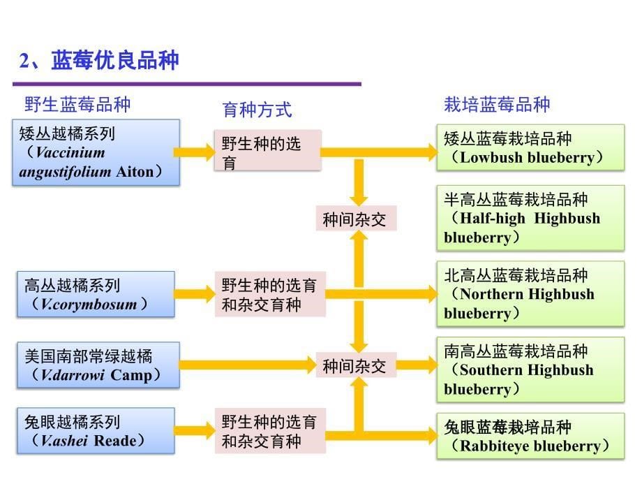 蓝莓生产与加工利用_第5页