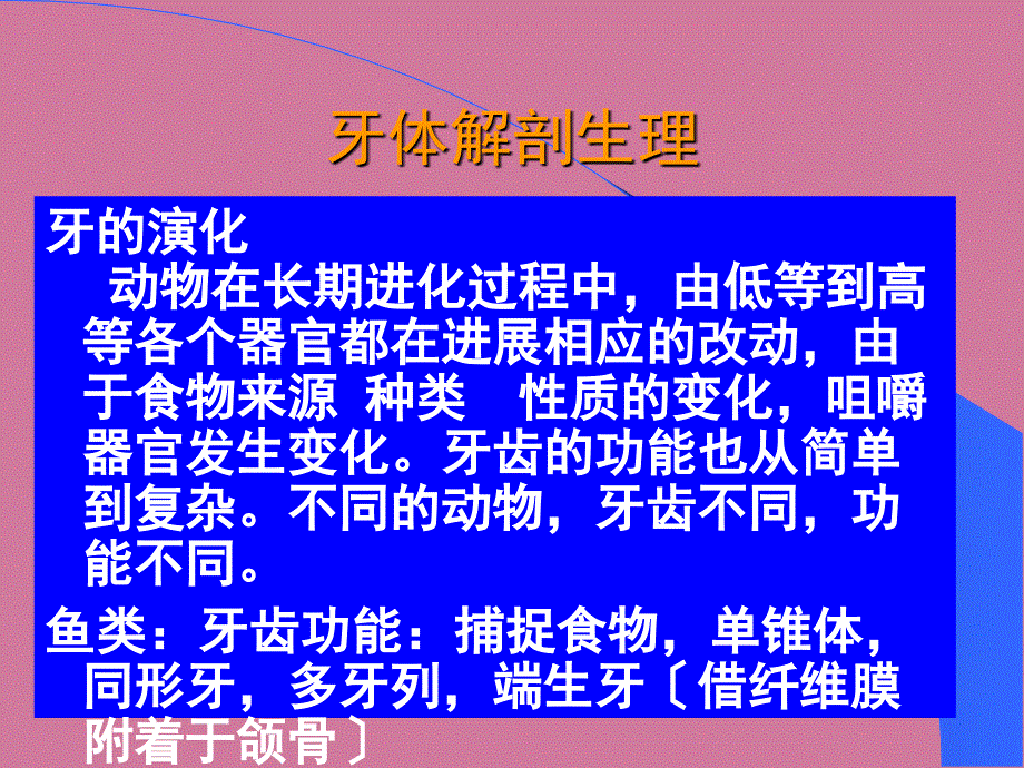 口轻解剖生理学ppt课件_第2页