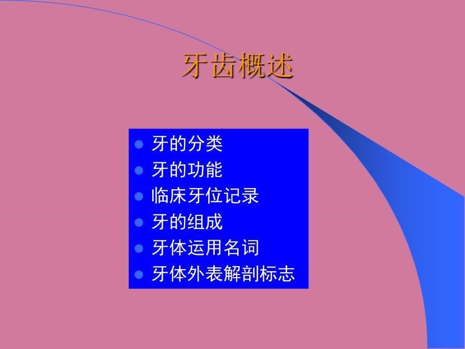 口轻解剖生理学ppt课件_第5页