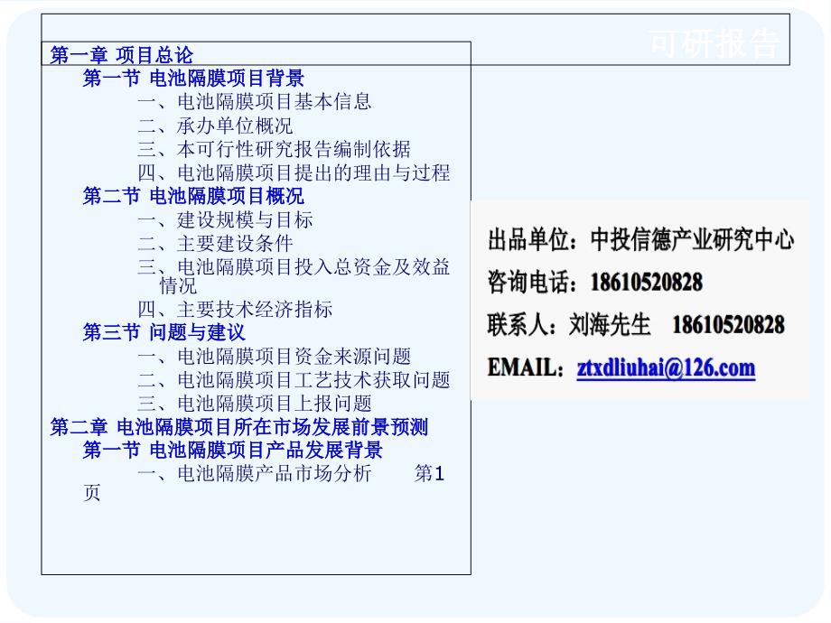 电池隔膜项目可行性.ppt_第2页