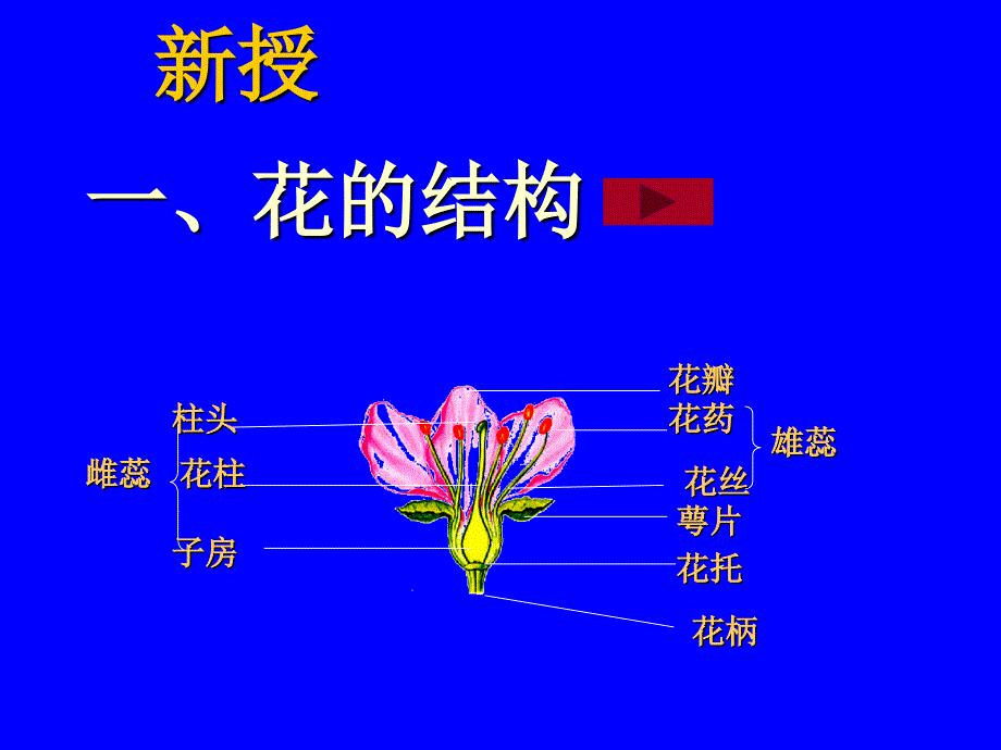 第三节开花和结果 (2)_第2页