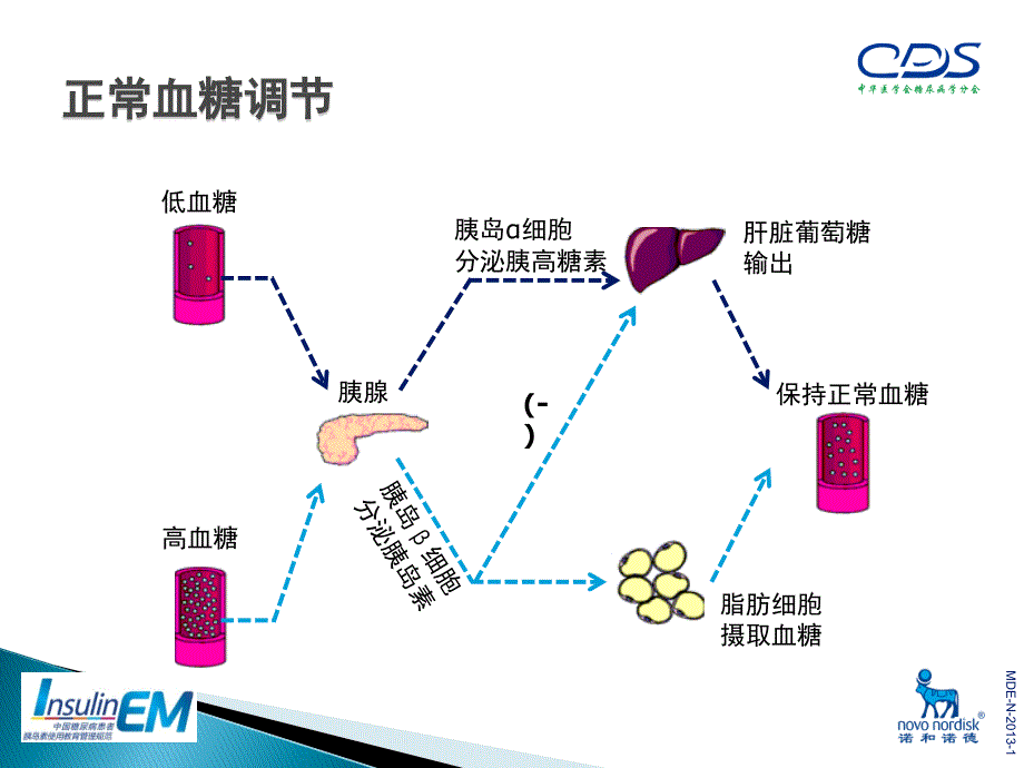 中国糖尿病患者胰岛素使用教育管理规范_第3页