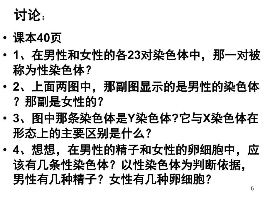 人的性别遗传优秀课件_第5页