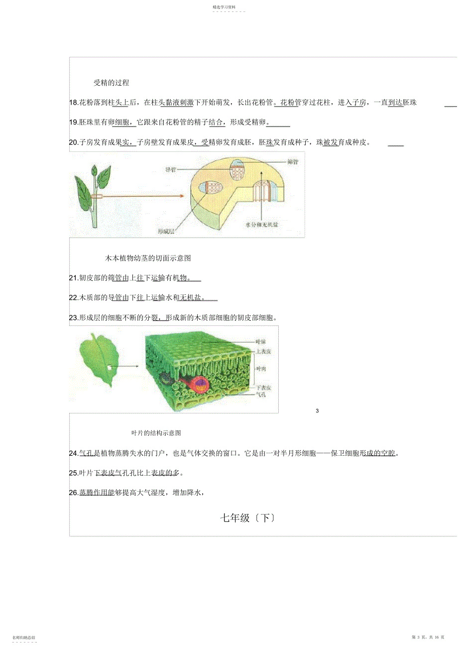 2022年生物会考复习资料：初中生物图集_第3页