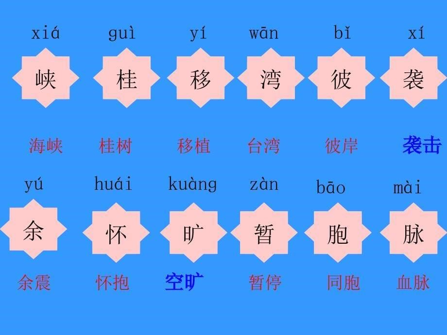 跨越海峡的生分命桥完整ppt课件_第5页