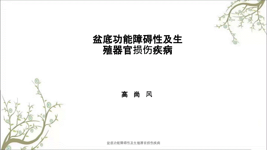 盆底功能障碍性及生殖器官损伤疾病课件_第1页